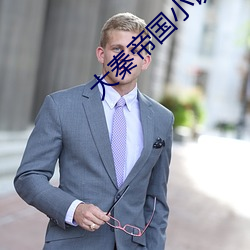 大秦帝国小说