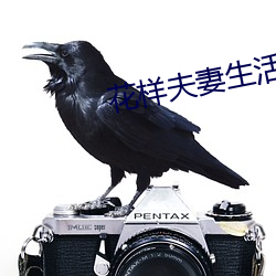 花樣夫妻生活