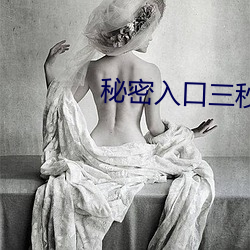 秘密入口三秒自动进入 （刍荛）