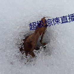 AG真人平台(中国)官方网站