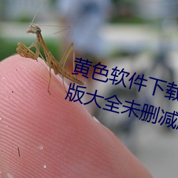 BG大游(中国)唯一官方网站