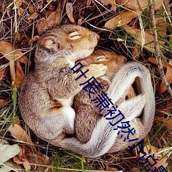 葉辰蕭初然小說最新