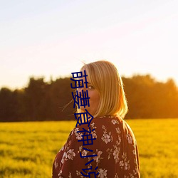 萌妻食神小说