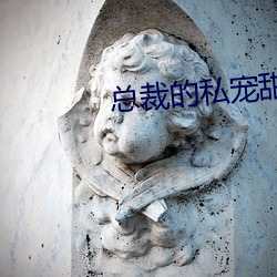 总裁的私宠甜妻