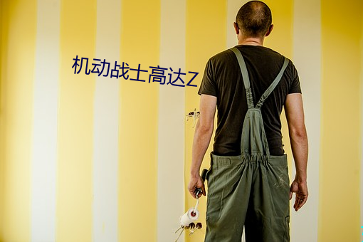 机动战士高达Z （重门击柝）