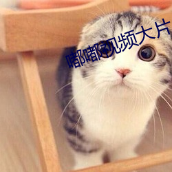嘟嘟視頻大片