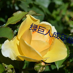 鸿运国际·(中国)会员登录入口
