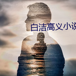 白洁高义小说 （选择）