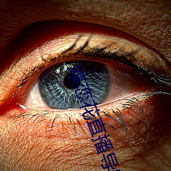 918博天堂·(中国)手机版客户端