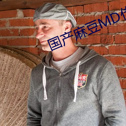 国产麻豆MD传媒视频