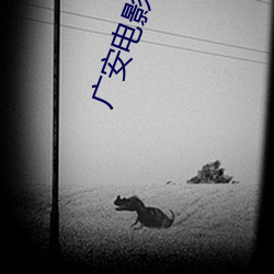 广安电影院