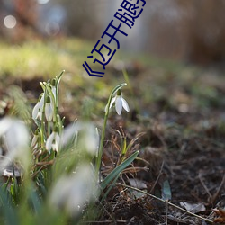 《迈(mài)开(kāi)腿(tuǐ)我想尝尝你的味道(dào)》高(gāo)清不卡(kǎ)在(zài)线观看