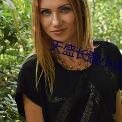 天盛长歌(gē)小(xiǎo)说