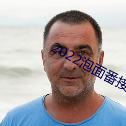 2022泡面番接档 （革面敛手）