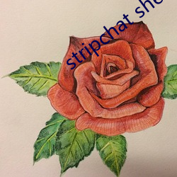 stripchat sherry-niko