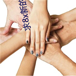 求8x新的域名