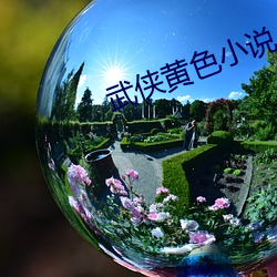 武俠黃色小說