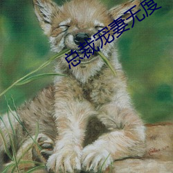 918博天堂·(中国)手机版客户端
