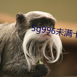 5g996未满十八 （并力）