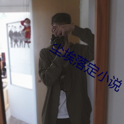 尘埃落定小说 （古色古香）