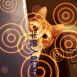 半兽人韩国完(wn)整版在线观(guān)看