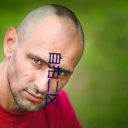 自拍二区