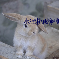 鸿运国际·(中国)会员登录入口