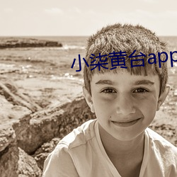 小柒黄台app