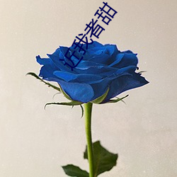 近我者甜
