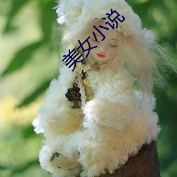 美女小说 （一语破的）