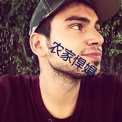 农家悍媳