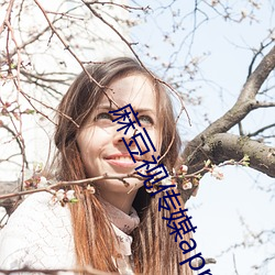麻豆视传(傳)媒(媒)app官方破(破)解免费(費)