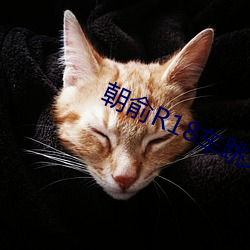 朝俞R18车跳珠