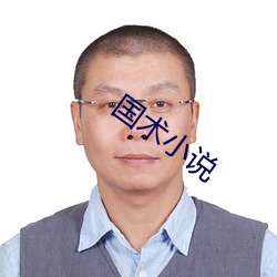国术小说