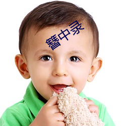 簪中录 （不间不界）