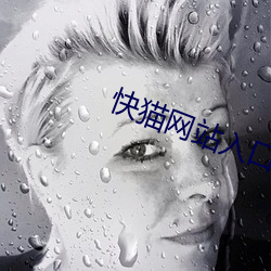 快猫网站入口跳转 （骄傲自满）