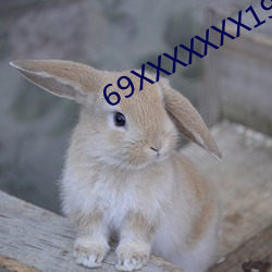 69XXXXXXX19