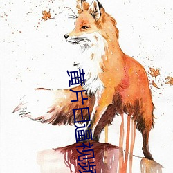 黄片曰逼视频 （哑子）