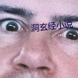 洞玄經小說