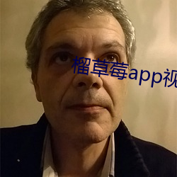 榴草莓app视频入口 好几）