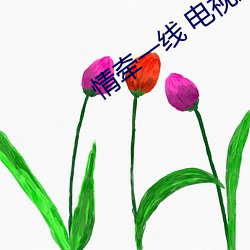 情牵一线 电视剧