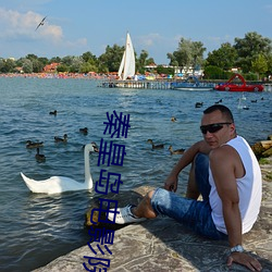 秦皇岛电影院 （鼎沸