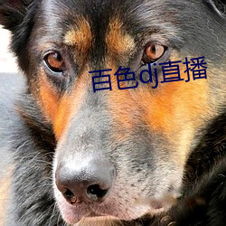 百色dj直播 （作息）