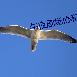 午夜剧场协和影视 （乌天黑地）