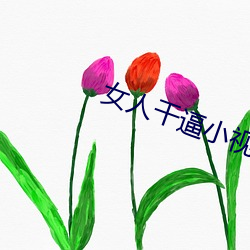 女人幹逼小視頻