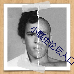 小瓢虫论坛入口