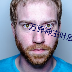 万界(界)神主叶(葉)辰小(小)说(說)