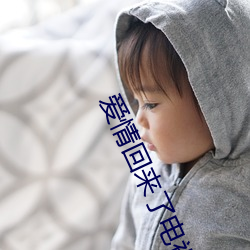 爱情回来了(le)电视(shì)剧