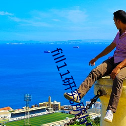fill11研究所h5 崩溃）