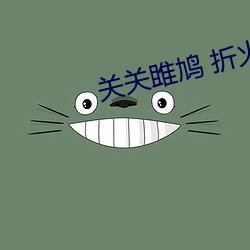 关关雎鸠 折火一夏